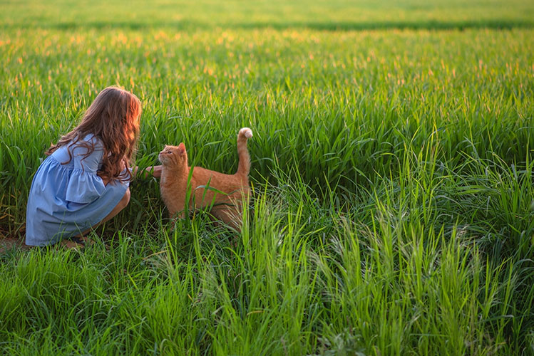 A girl crouching in a sunlit green field, reaching out to a ginger cat