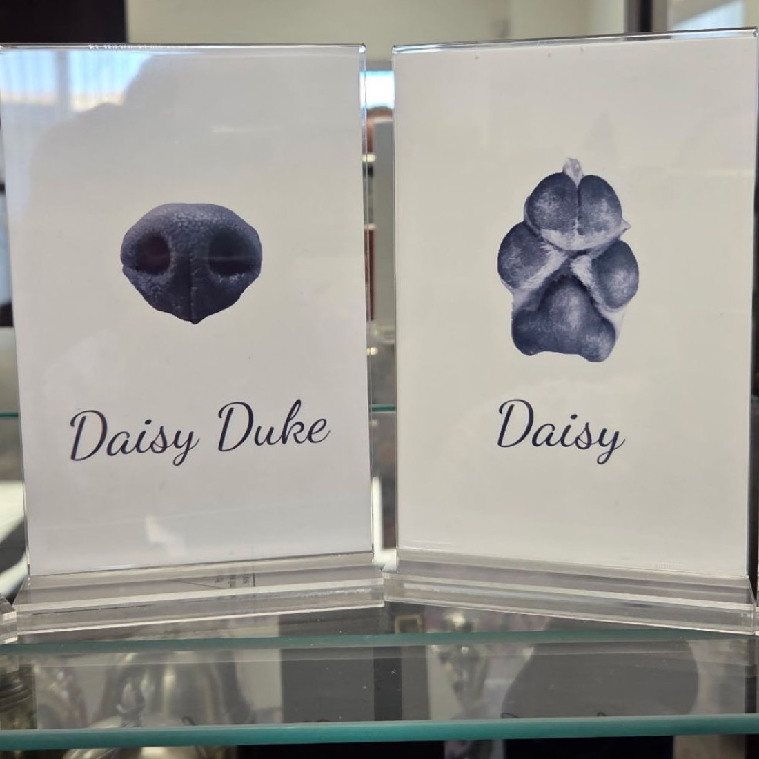 Digital Paw & Nose Prints pet urn